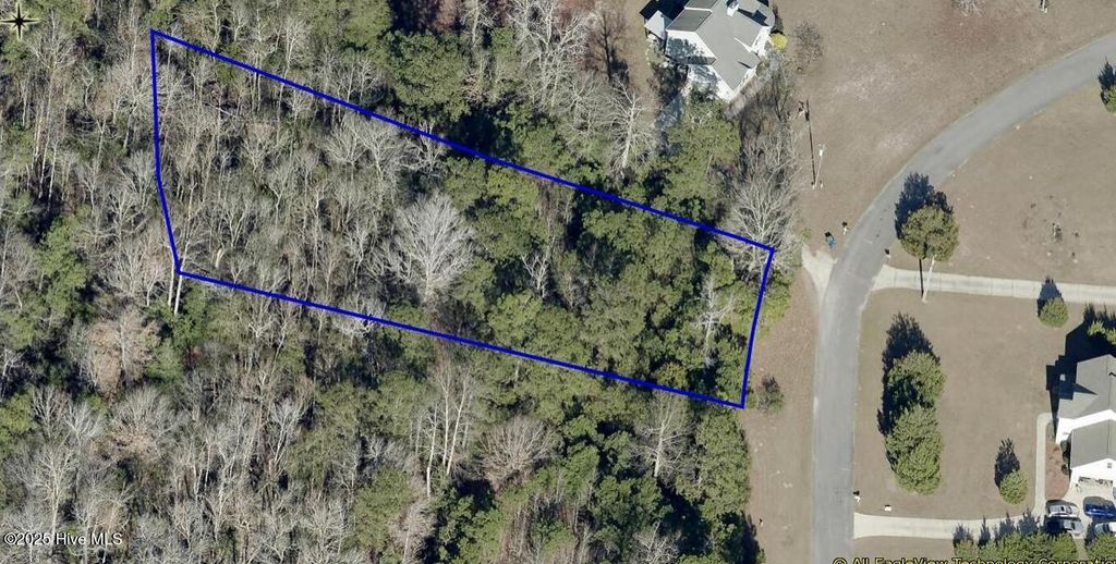 Photo of 113 Sterling Drive, Sneads Ferry, NC 28460 (MLS # 100542980)