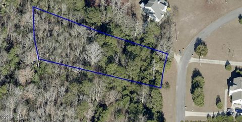 Photo of 113 Sterling Drive, Sneads Ferry, NC 28460 (MLS # 100542980)