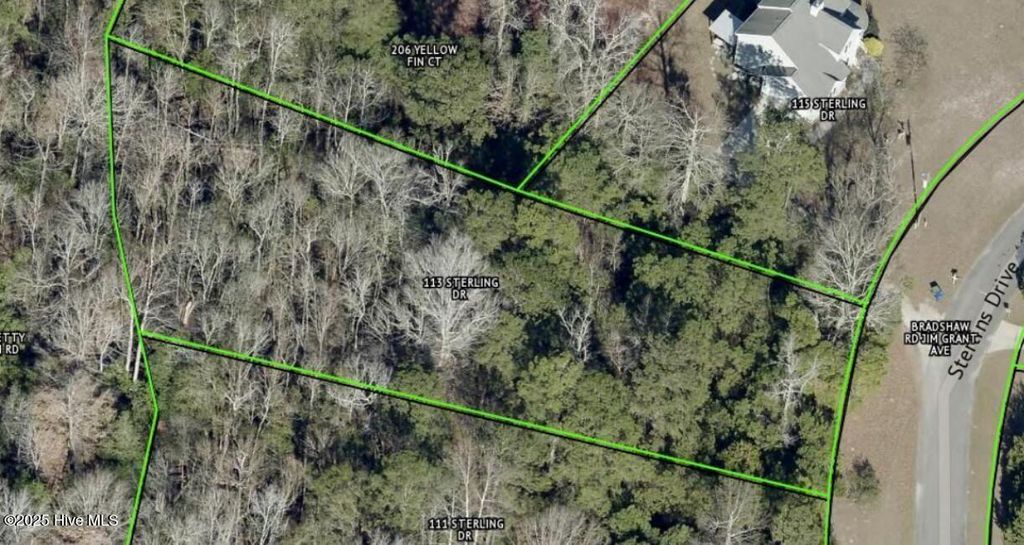 Photo of 113 Sterling Drive, Sneads Ferry, NC 28460 (MLS # 100542980)