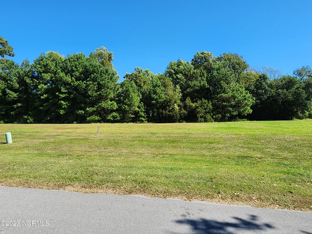 Photo of 119 Whispering Pine Lane, Holly Ridge, NC 28445 (MLS # 100535835)
