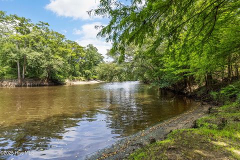 Tiny photo for 17 Croomsbridge Road, Burgaw, NC 28425 (MLS # 100525016)
