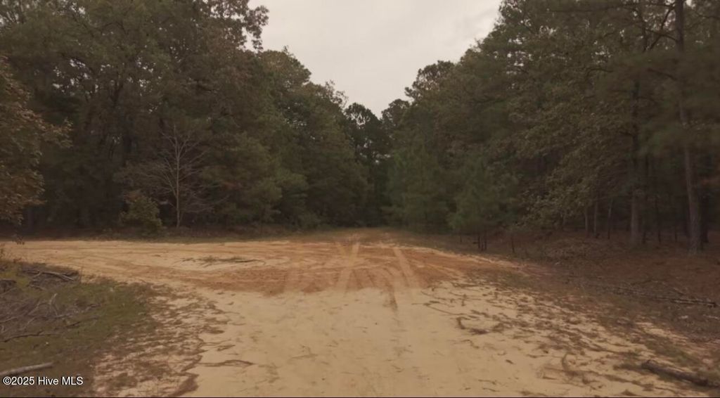 Photo of Tbd Brandon Circle, Laurinburg, NC 28352 (MLS # 100535821)