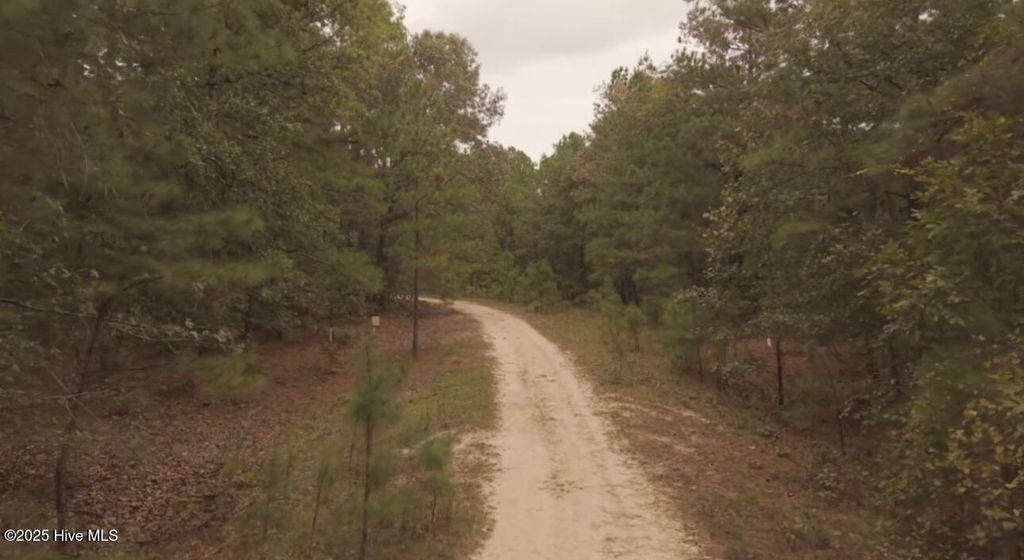 Photo of Tbd Brandon Circle, Laurinburg, NC 28352 (MLS # 100535821)
