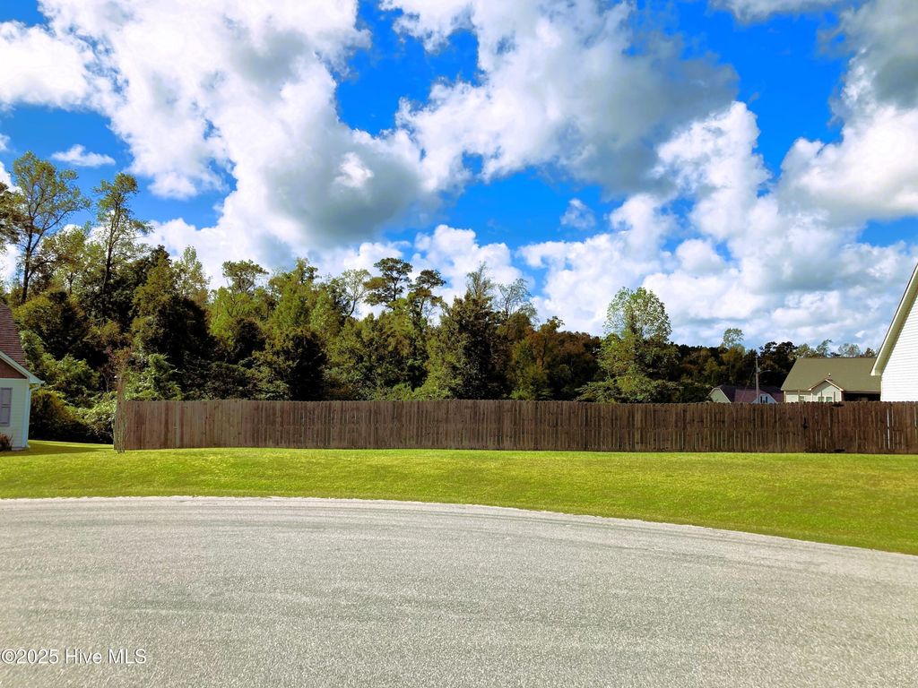 Photo of 134 Laredo Drive, Jacksonville, NC 28540 (MLS # 100535826)
