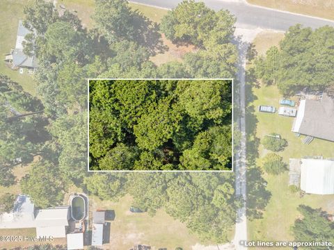 Tiny photo for 2895 Jeremy Street SW, Supply, NC 28462 (MLS # 100535814)