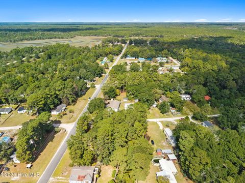 Tiny photo for 2895 Jeremy Street SW, Supply, NC 28462 (MLS # 100535814)