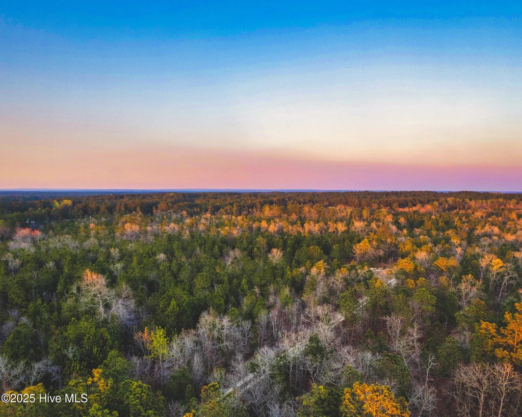 Photo of Hwy 15/501, Wagram, NC 28396 (MLS # 100536204)