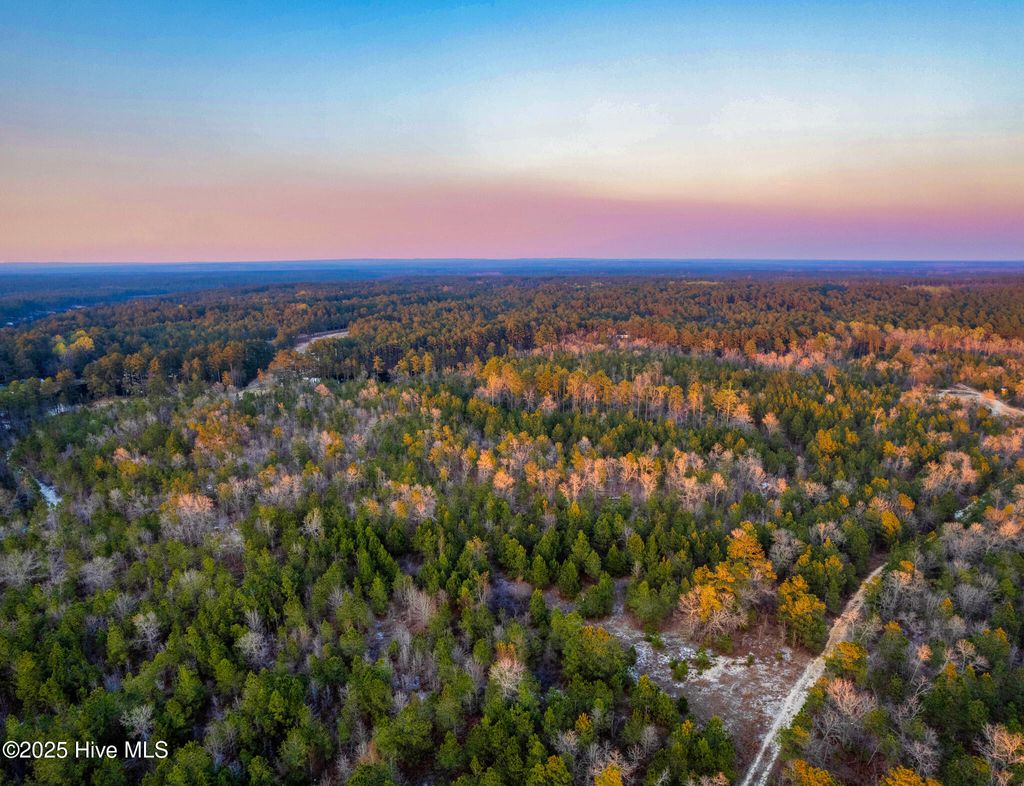 Photo of Hwy 15/501, Wagram, NC 28396 (MLS # 100536204)