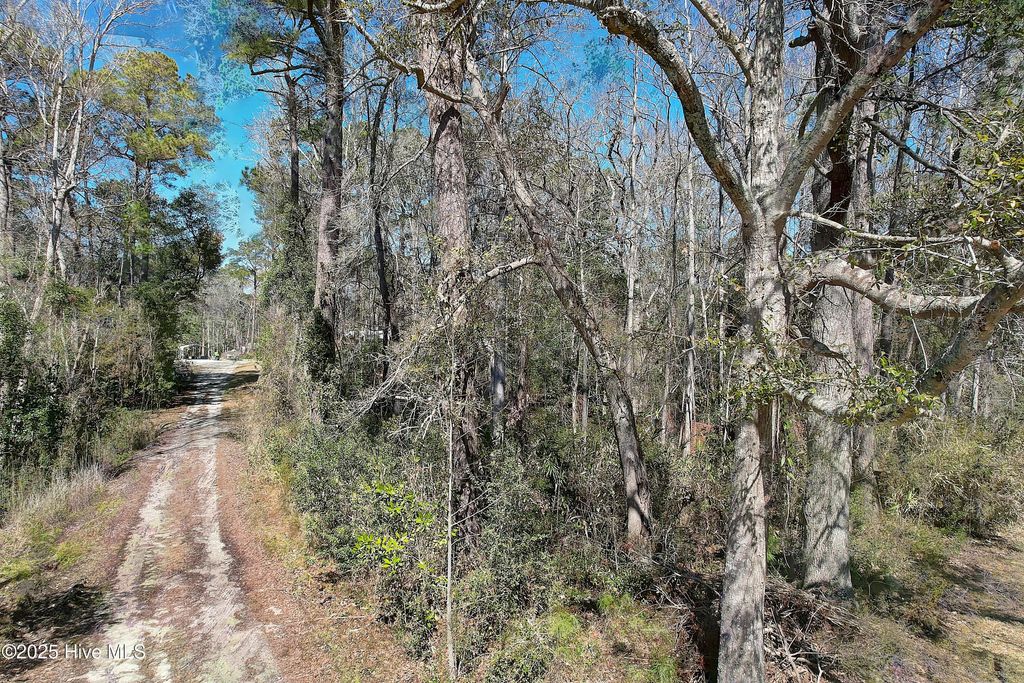 Photo of 1574 Hollywood Street SW, Shallotte, NC 28470 (MLS # 100543112)