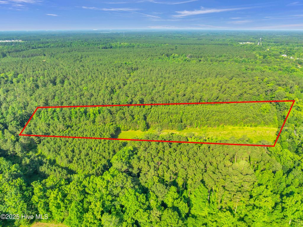 Photo of 15323 Nc Highway 210, Rocky Point, NC 28457 (MLS # 100515313)