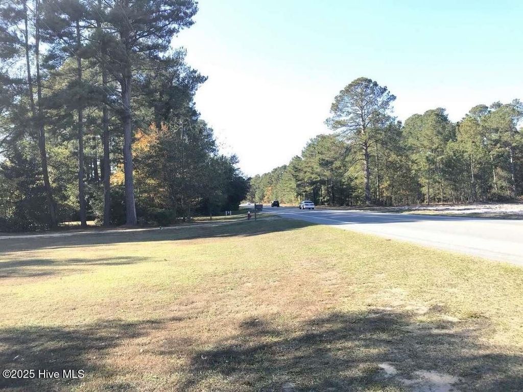 Photo of 6890 U.S. 701 Highway N, Elizabethtown, NC 28337 (MLS # 100542058)