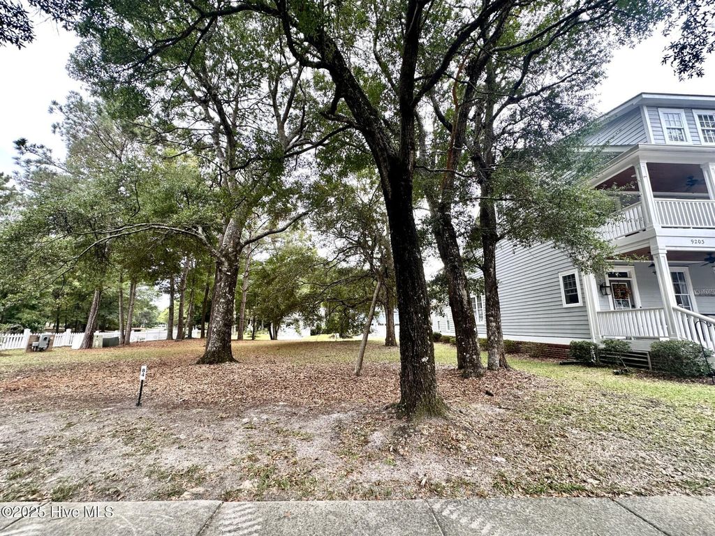 Photo of 9199 Hutton Heights Way SW, Calabash, NC 28467 (MLS # 100535850)