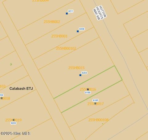 Tiny photo for 9199 Hutton Heights Way SW, Calabash, NC 28467 (MLS # 100535850)
