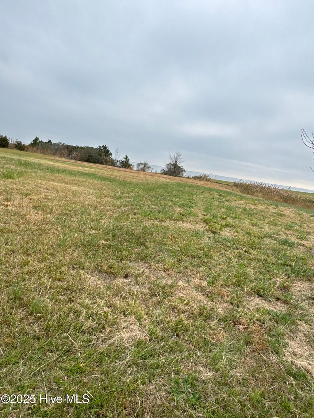 Photo of 111 Hammock View Court, Aydlett, NC 27916 (MLS # 100542293)