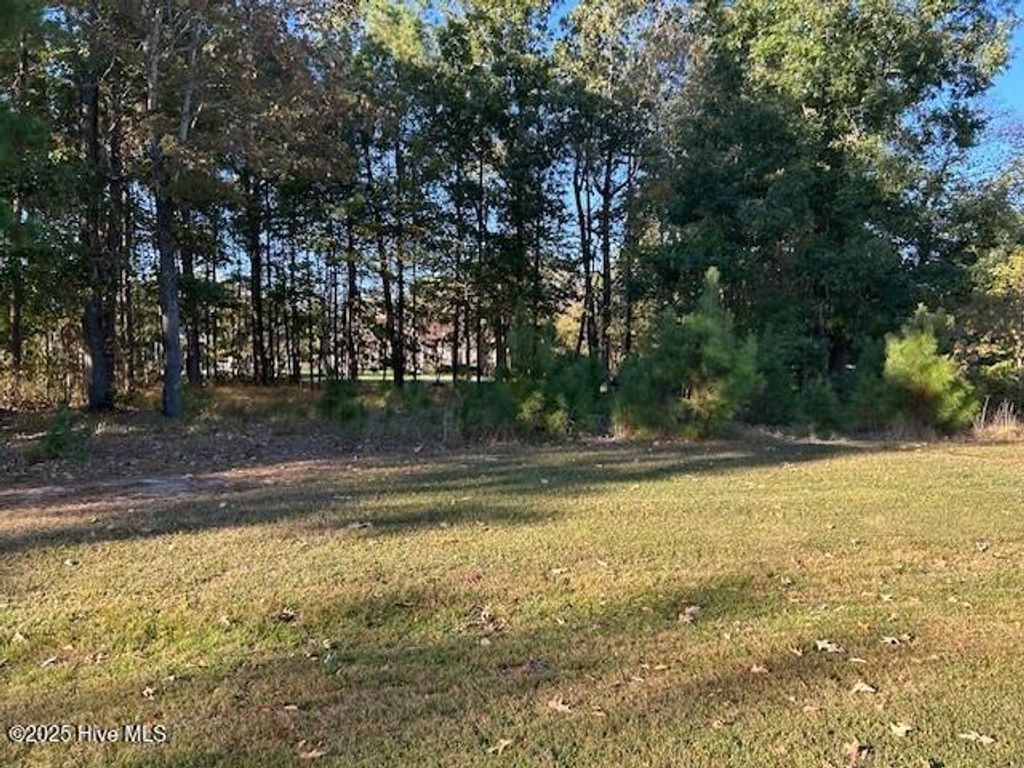 Photo of 14 Cape Fear Drive, Hertford, NC 27944 (MLS # 100537301)