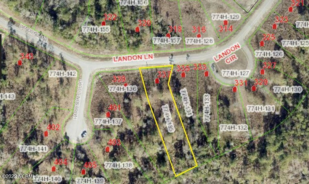Photo of 337 Landon Lane, Sneads Ferry, NC 28460 (MLS # 100523763)