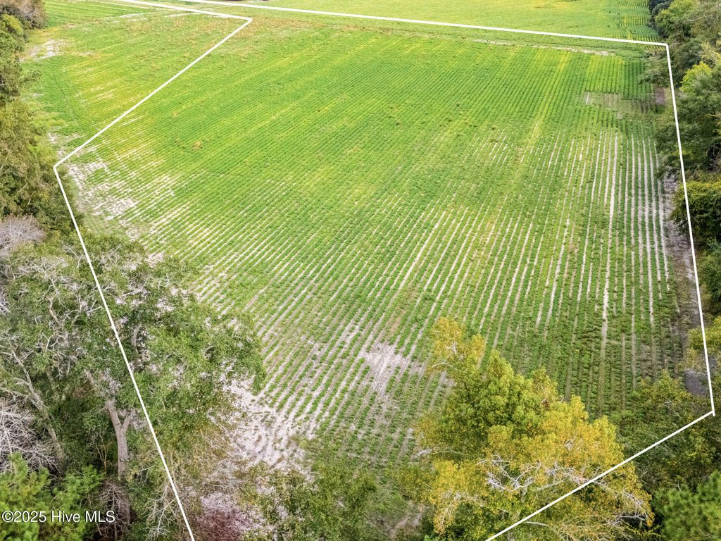 Photo of 1515 Porter Swamp Road, Cerro Gordo, NC 28430 (MLS # 100537482)