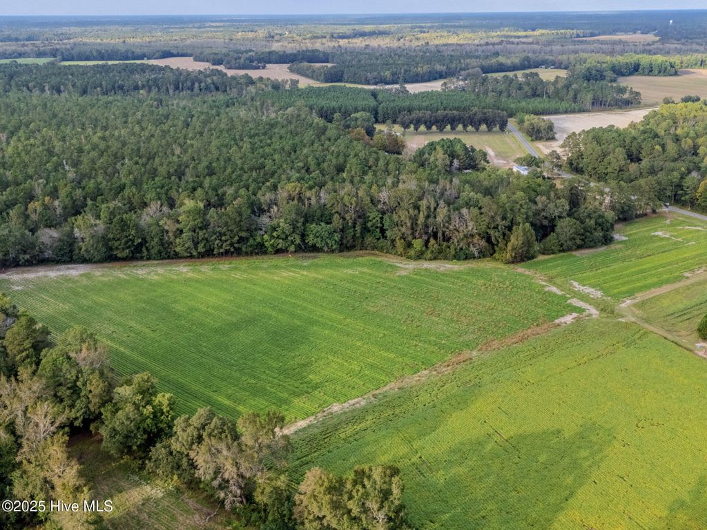 Photo of 1515 Porter Swamp Road, Cerro Gordo, NC 28430 (MLS # 100537482)