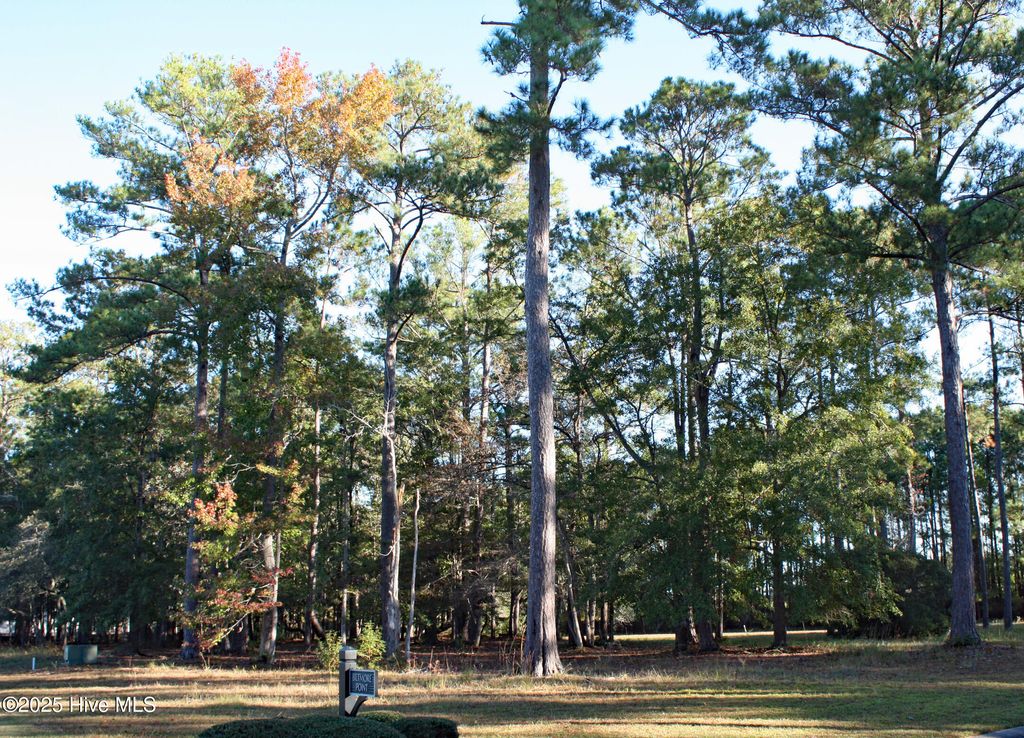 Photo of 598 Lindgrove Place SW, Ocean Isle Beach, NC 28469 (MLS # 100538681)