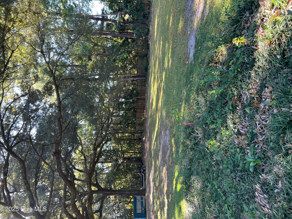 Photo of 6101 Teal Street, Wilmington, NC 28403 (MLS # 100538247)