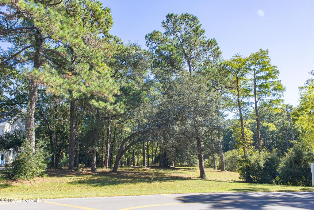 Photo of 465 Lockwood Lane SW, Supply, NC 28462 (MLS # 100536823)