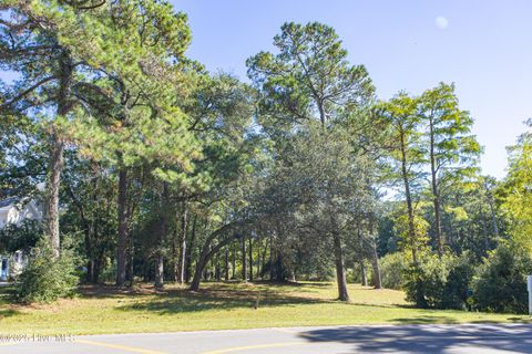 Photo of 465 Lockwood Lane SW, Supply, NC 28462 (MLS # 100536823)