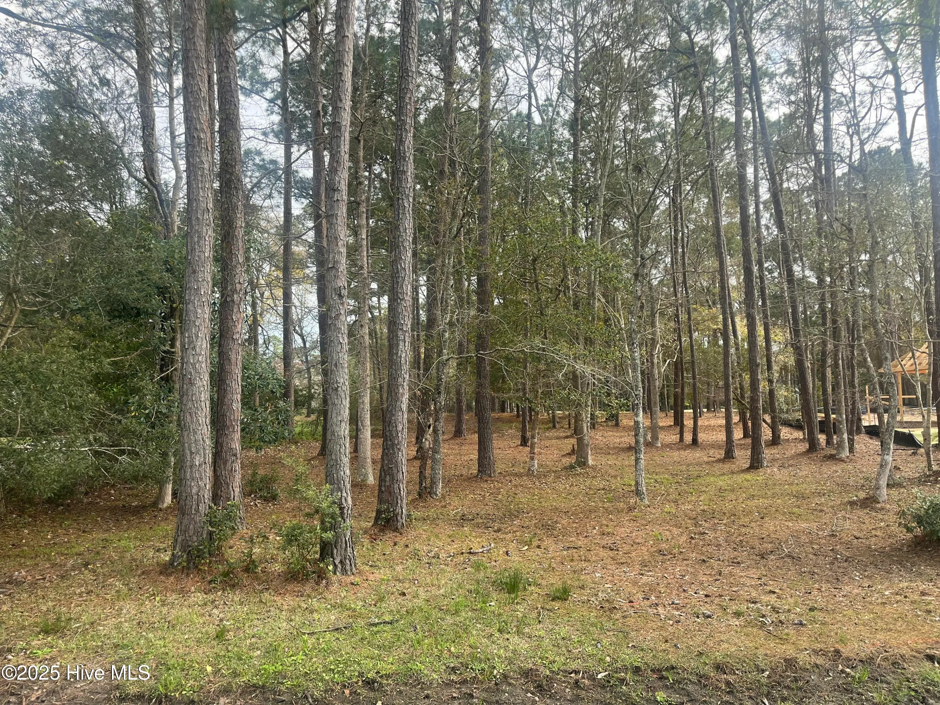 Supply, North Carolina 28462, United States, ,Land,Pending,100283