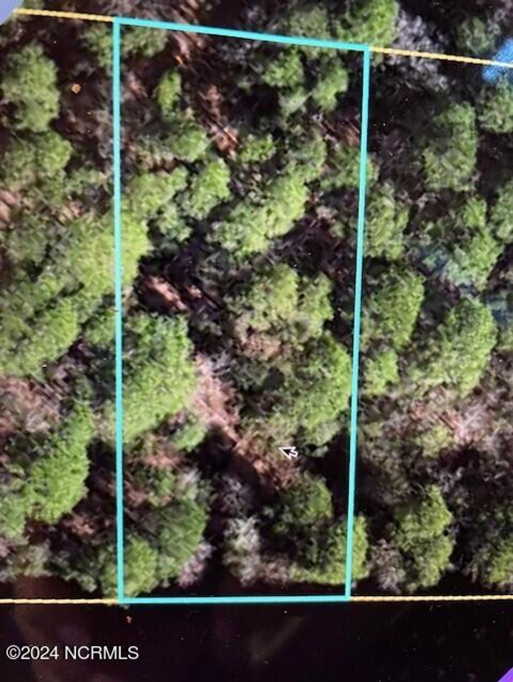 Photo of 250 S Horsepen Road, Harrells, NC 28444 (MLS # 100466436)