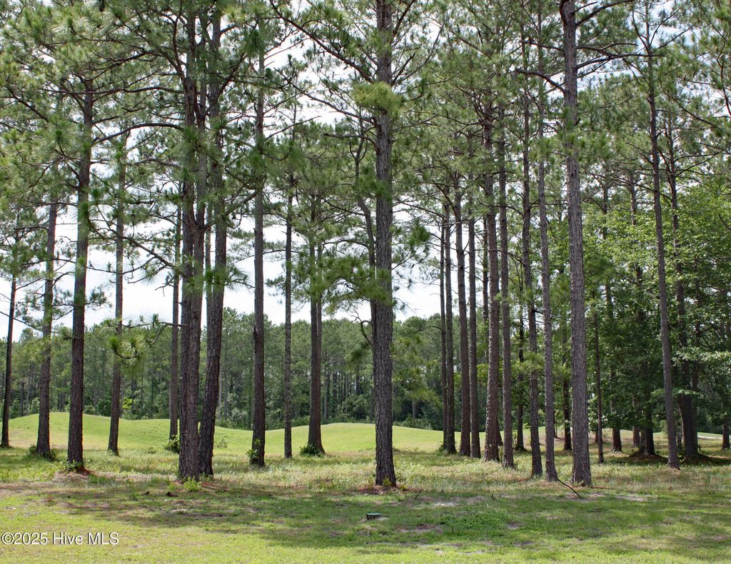 Photo of 6247 Castlebrook Way SW, Ocean Isle Beach, NC 28469 (MLS # 100512172)