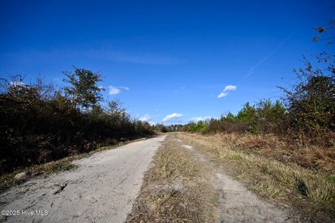 Tiny photo for 00 Kinston Highway, Richlands, NC 28574 (MLS # 100541751)