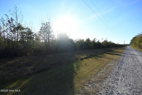Tiny photo for 00 Kinston Highway, Richlands, NC 28574 (MLS # 100541751)