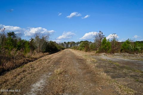 Tiny photo for 00 Kinston Highway, Richlands, NC 28574 (MLS # 100541751)