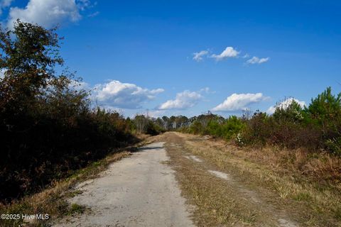 Tiny photo for 00 Kinston Highway, Richlands, NC 28574 (MLS # 100541751)