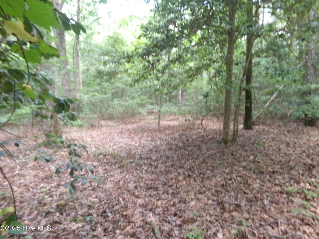 Photo of 37 Plantation Road, Elizabethtown, NC 28337 (MLS # 100526956)