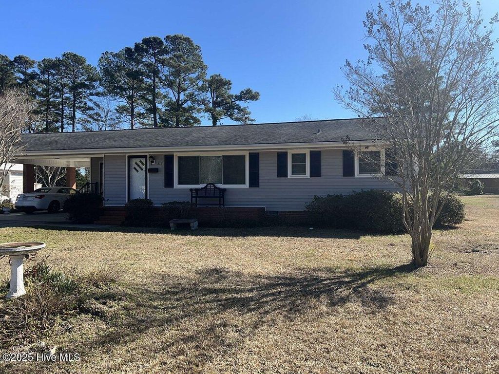 Photo of 215 Nunn Street, Havelock, NC 28532 (MLS # 100507067)