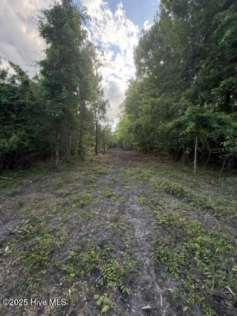 Tiny photo for 1805 Front Street, Burgaw, NC 28425 (MLS # 100525906)