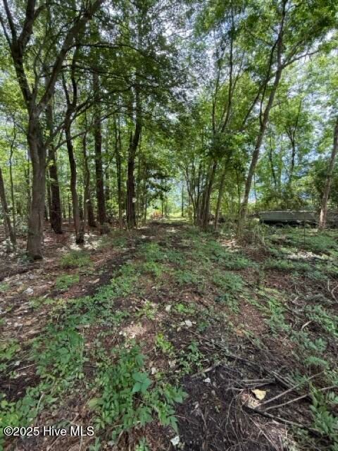 Tiny photo for 1805 Front Street, Burgaw, NC 28425 (MLS # 100525906)