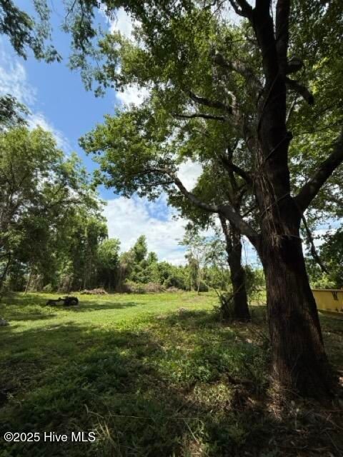 Tiny photo for 1805 Front Street, Burgaw, NC 28425 (MLS # 100525906)
