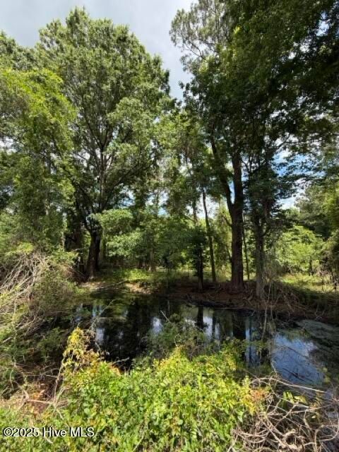 Tiny photo for 1805 Front Street, Burgaw, NC 28425 (MLS # 100525906)