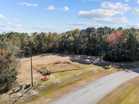 Tiny photo for 132 Royal Palms Way, Holly Ridge, NC 28445 (MLS # 100542109)