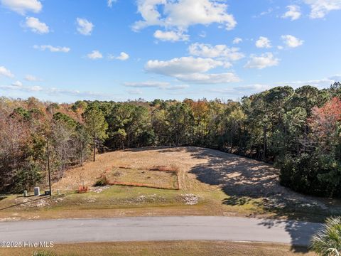 Tiny photo for 132 Royal Palms Way, Holly Ridge, NC 28445 (MLS # 100542109)