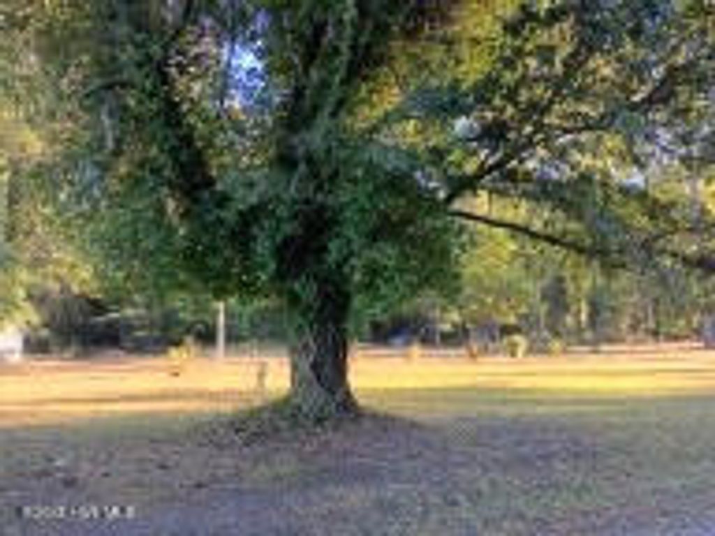 Photo of 154 Old School House Road, Blounts Creek, NC 27814 (MLS # 100542537)