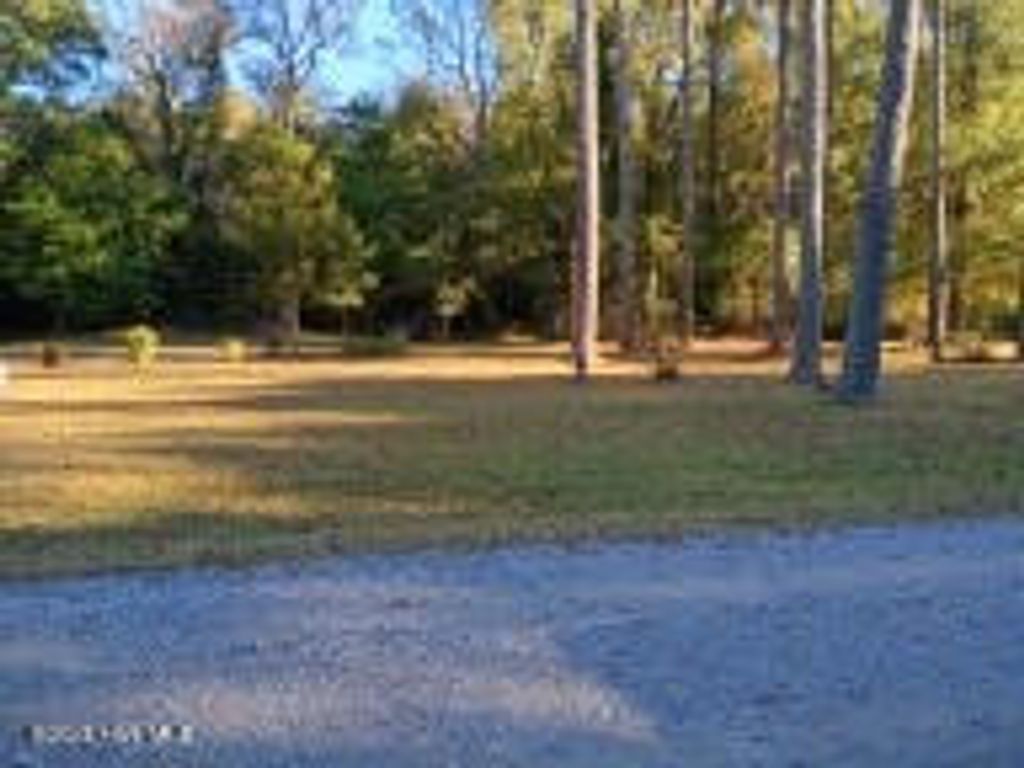 Photo of 154 Old School House Road, Blounts Creek, NC 27814 (MLS # 100542537)