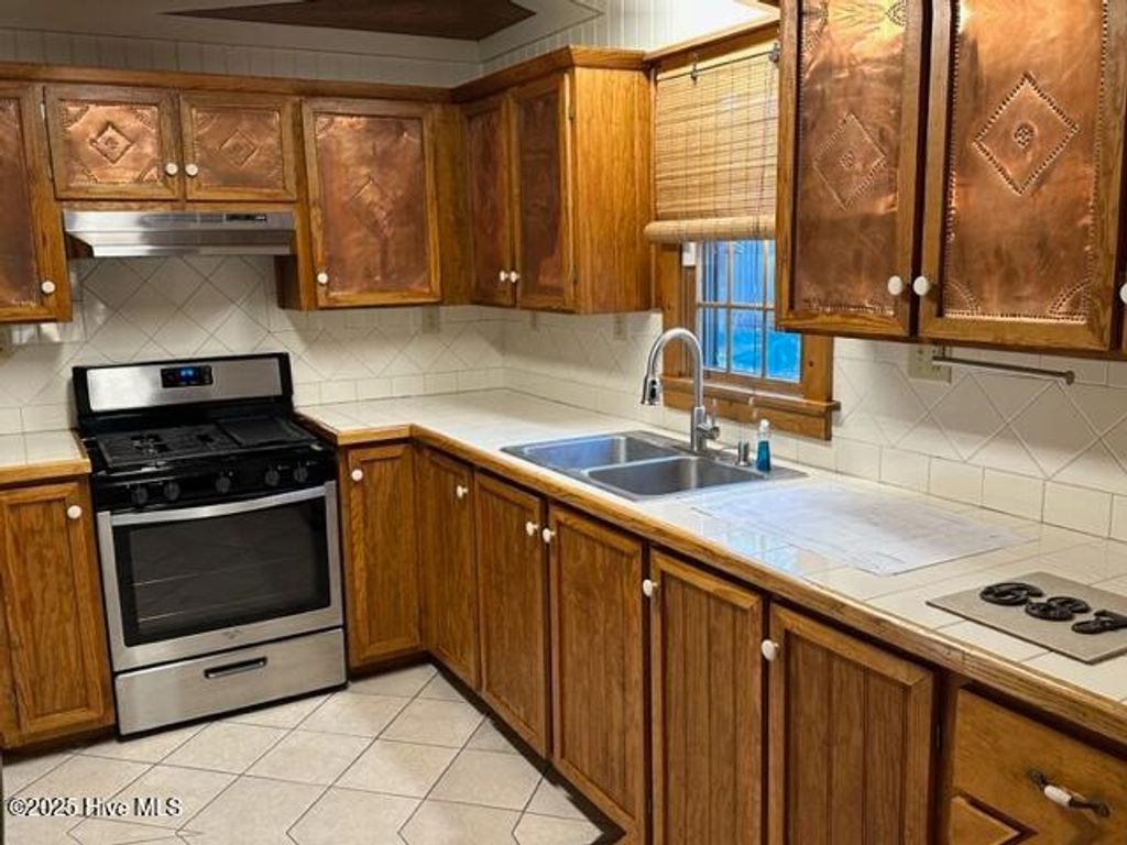 Photo of 687 Alligator Creek Road, Merritt, NC 28556 (MLS # 100544265)