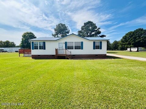 Photo of 363 Nahunta Rd Road, Pikeville, NC 27863 (MLS # 100536399)