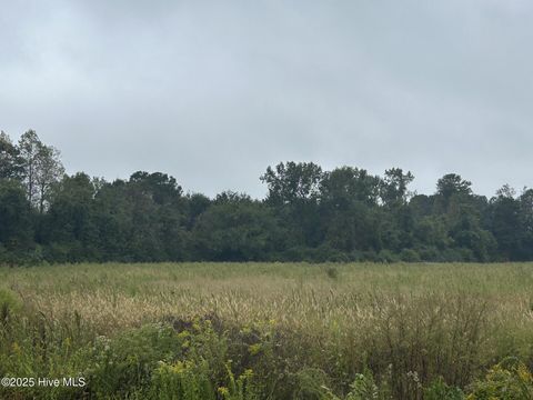 Tiny photo for 1198 Pelham Road, Willard, NC 28478 (MLS # 100533539)