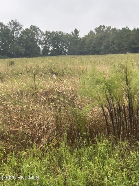 Photo of 1198 Pelham Road, Willard, NC 28478 (MLS # 100533539)