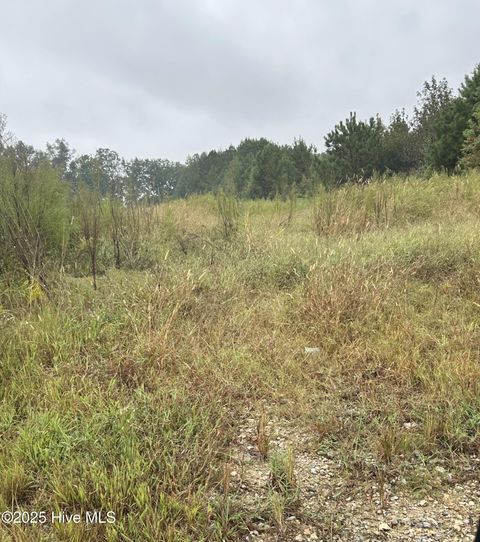 Tiny photo for 1198 Pelham Road, Willard, NC 28478 (MLS # 100533539)