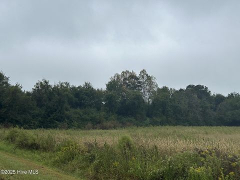 Tiny photo for 1198 Pelham Road, Willard, NC 28478 (MLS # 100533539)