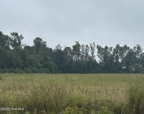 Tiny photo for 1198 Pelham Road, Willard, NC 28478 (MLS # 100533539)